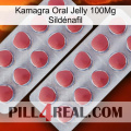 Kamagra Oral Jelly 100Mg Sildénafil 19